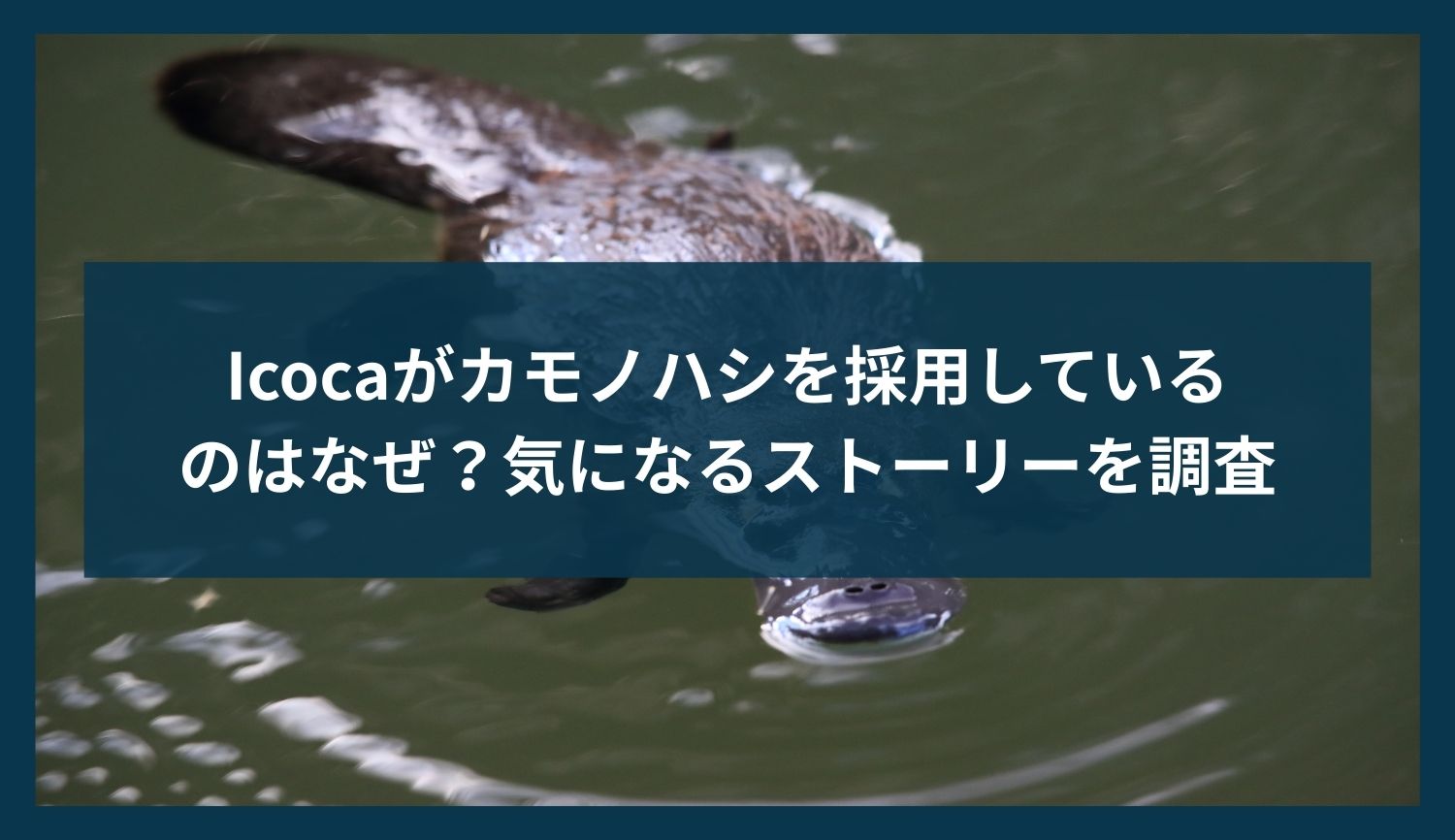 Icocaがカモノハシを採用しているのはなぜ？気になるストーリーを調査